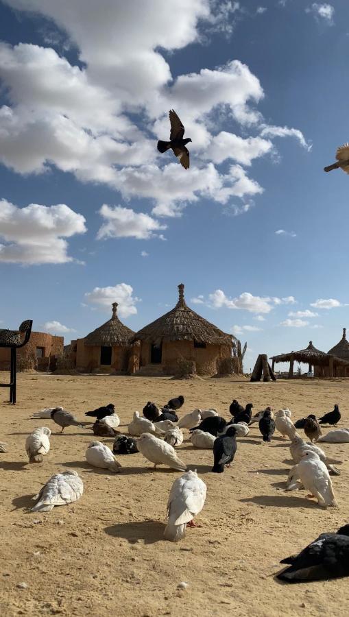 Taghaghien Island Resort Siwa Oasis 外观 照片